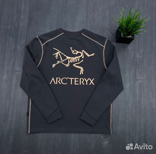 Весенний свитшот Arcteryx