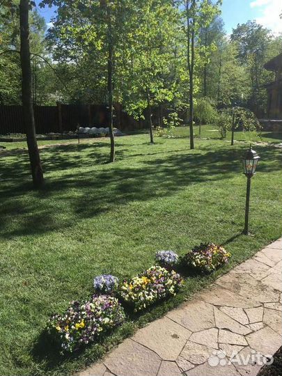 Укладка и продажа газона