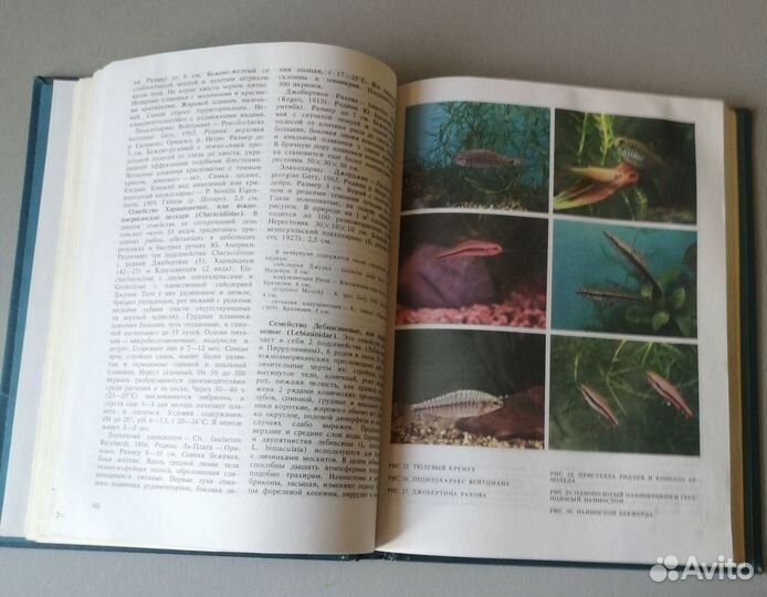 Книга для аквариумистов любителей