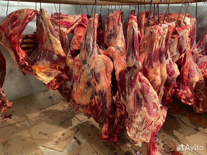 Мясо говядина оптом