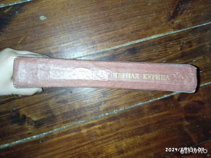 Чёрная курица. Сказки русских писателей