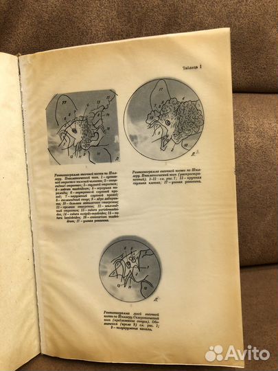 Старинная книга 