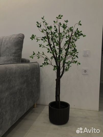 Искуссвенные декоративные растения (цветы, дерево)