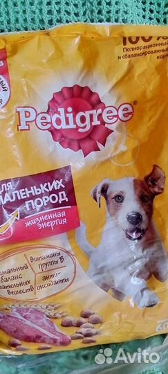 Корм для собак