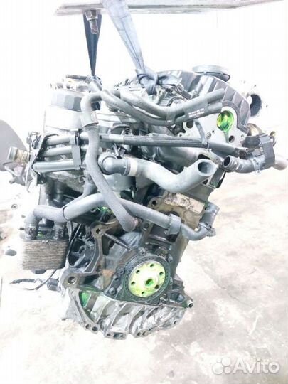 Двигатель BGW Volkswagen Passat B5 2.0