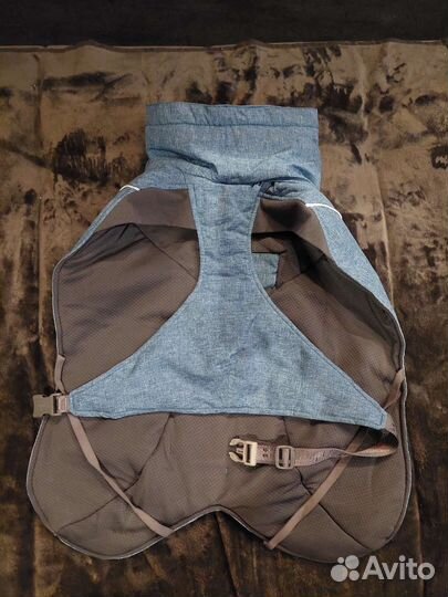 Одежда для средних собак