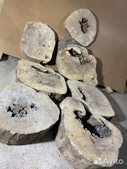 Слэбы торцевые спилы сухие