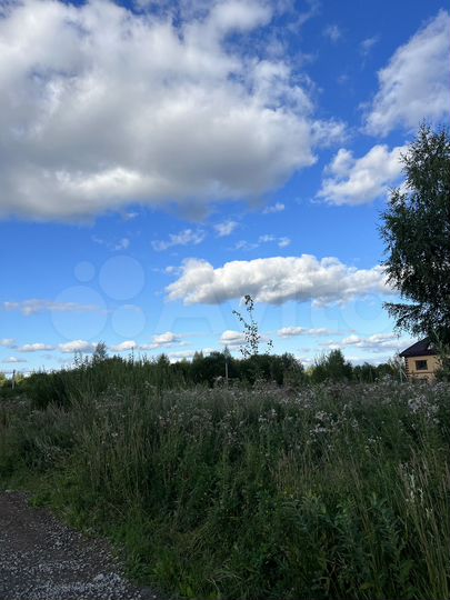 Участок 15,7 сот. (ИЖС)