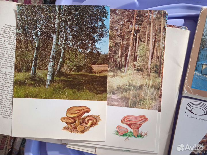 Серия открыток