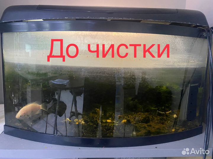 Чистка Аквариума выезд на дом, в офис