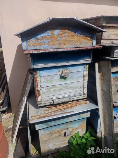 Улей для пчел бу