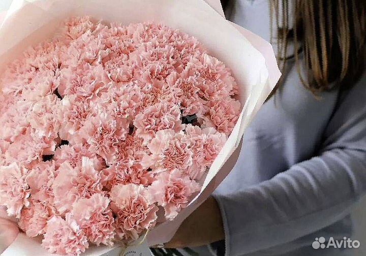 Диантусы гвоздики