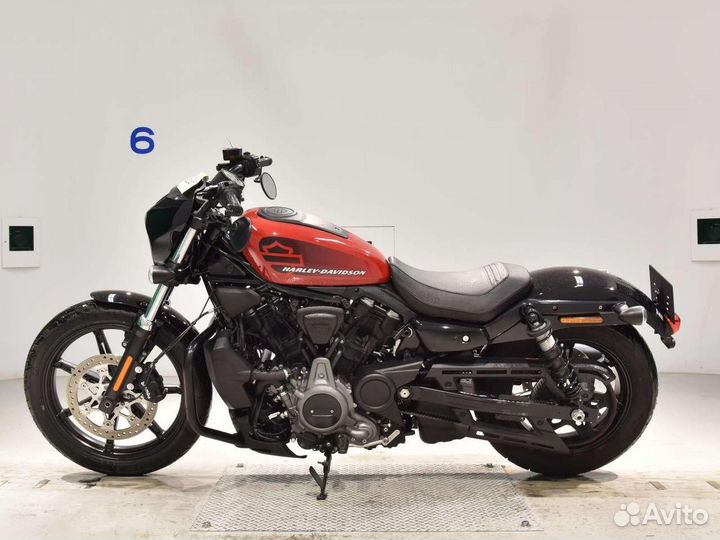 Harley-Davidson Nightster 2022г