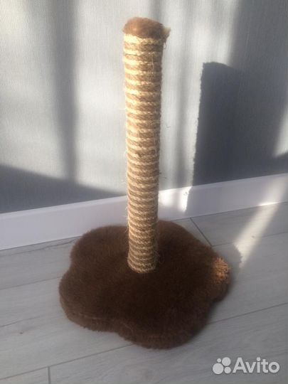 Когтеточка