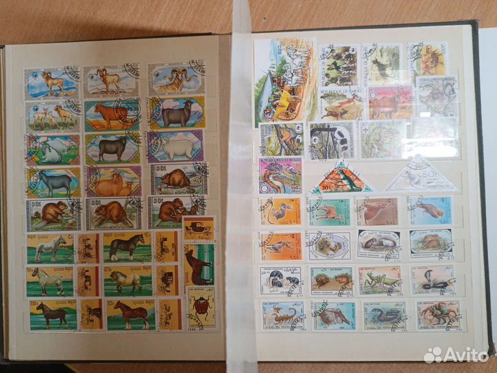 Кляссер марки фауна