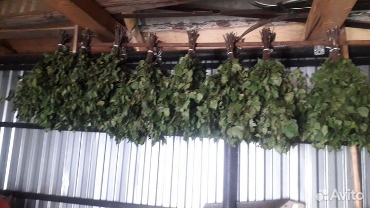 Веники для бани