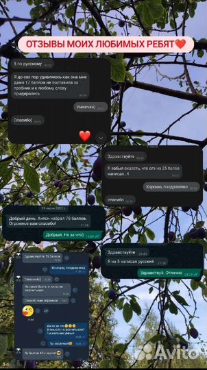 Репетитор по русскому языку и литературе