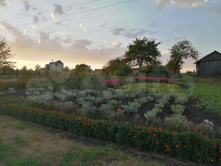 Дом 61,8 м² на участке 34 сот.