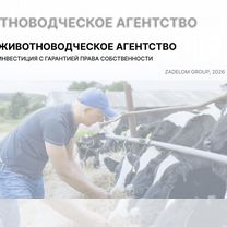 Животноводческое агентство в городе, Гомель