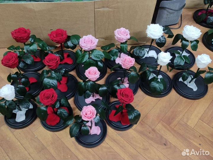 Живая роза в колбе