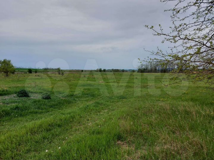 Участок 4 га (СНТ, ДНП)