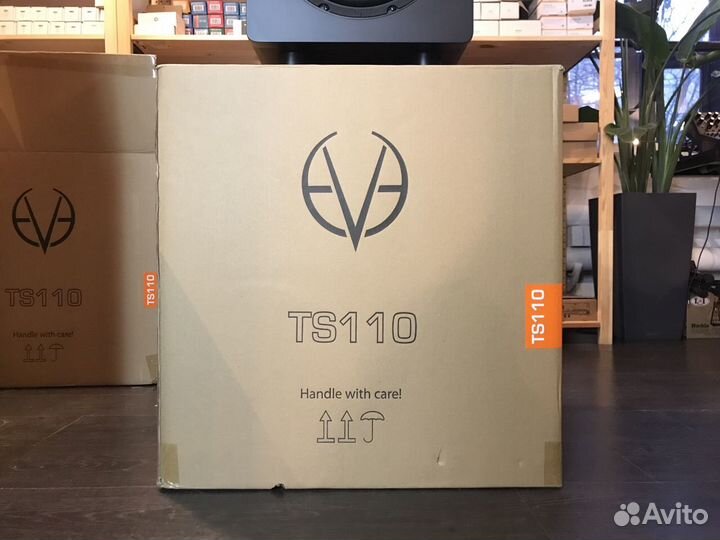 Студийный сабвуфер EVE Audio TS110