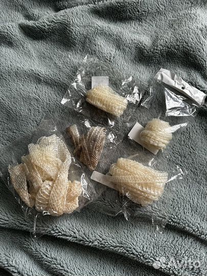 Змеиный выползок