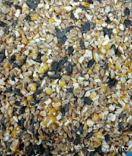 Комбикорм для птиц 