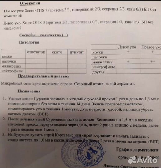 Отдам собаку