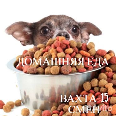 Оператор. Вахта. Семейные комнаты. Вычета нет