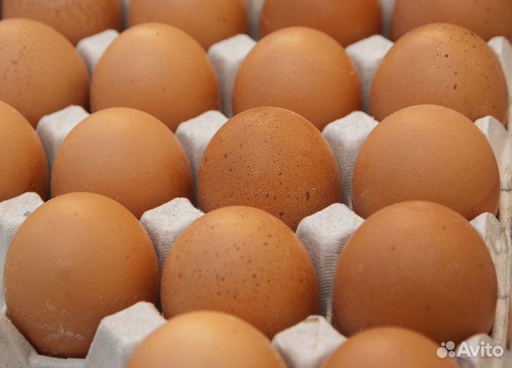 Укладчик\ца вахта