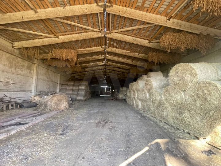 Свободного назначения, 997 м²