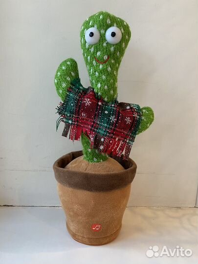 Поющий кактус