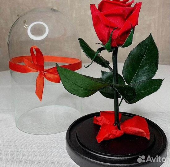 Розы в колбе разные