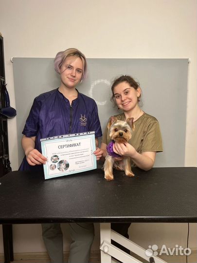 Грумер стрижка собак