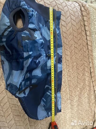 Одежда для собак