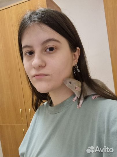 Помощь студентам и школьникам по биологии