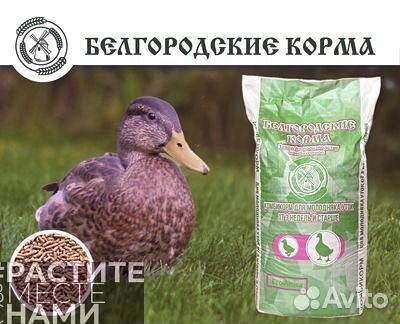 Комбикорм для уток