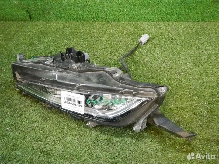 Птф левая Lexus RX 4 (2019-н.в.)