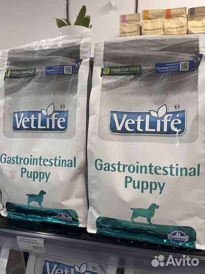 Farmina gastrointestinal vetlife puppy
