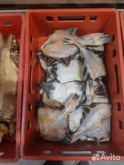 Рыба холодного копчения