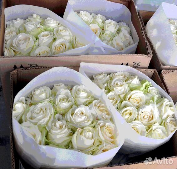 Цветы оптом розы