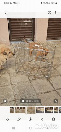 Клетка для кошек и собак