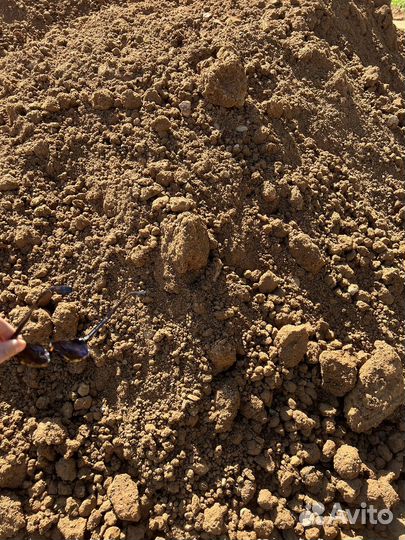 Приму грунт