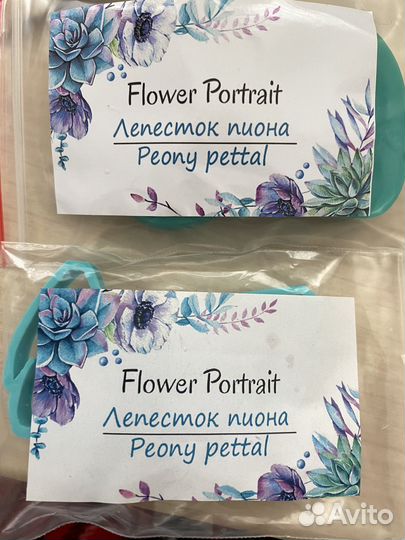 Вайнеры и вырубки