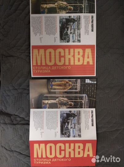 Мфу принтер canon mp280