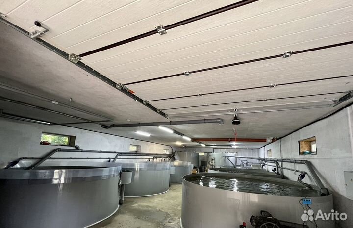 Форелевая ферма