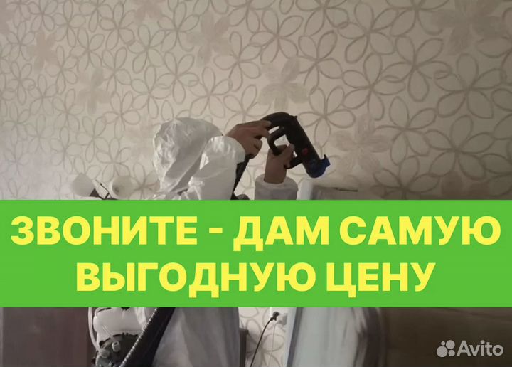 Уничтожение Клопы Тараканы Крыс Запах Дезинфекция