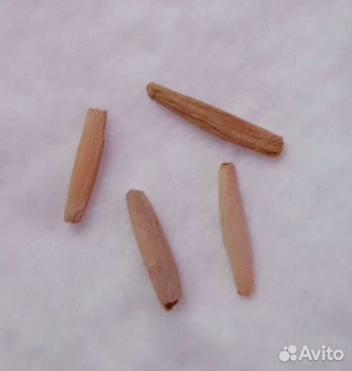 Семена адениума Оbesum (Роза пустыни)