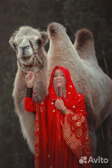 Животные на ваше мероприятие